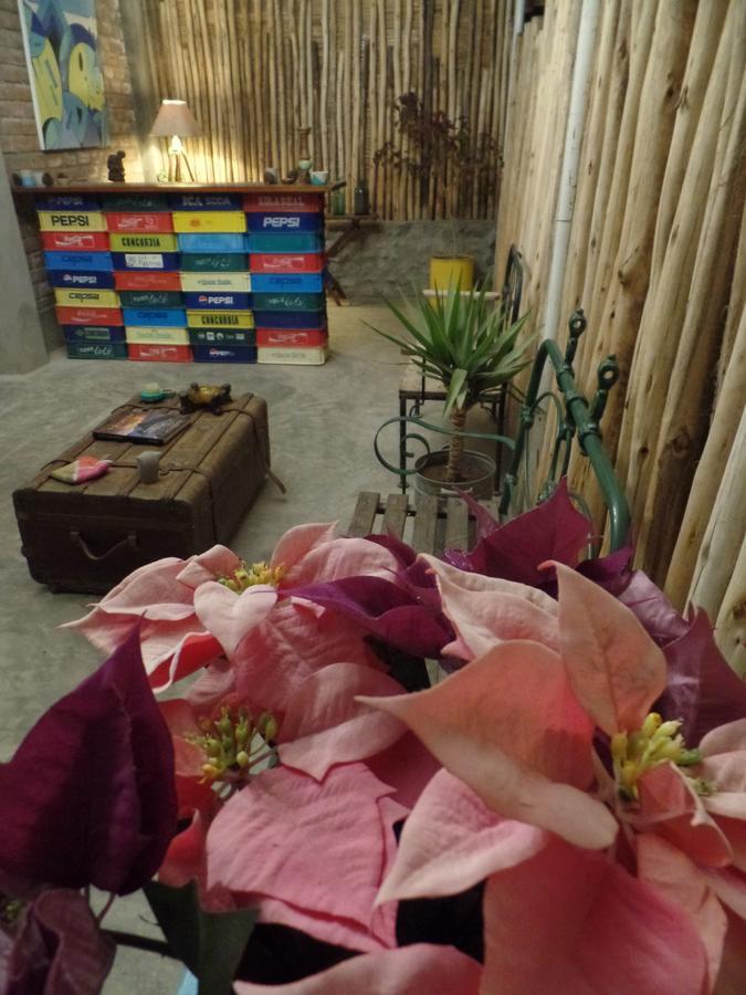 The Upcycled Hostel Huacachina イカ エクステリア 写真